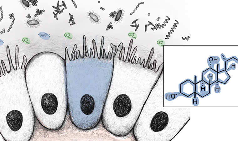 Microbiome Research: Devlin