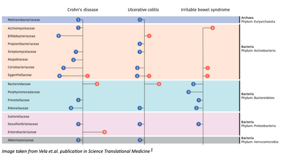 Gut Microbiota Composition and Functional Changes in Inflammatory Bowel Disease and Irritable Bowel Syndrome