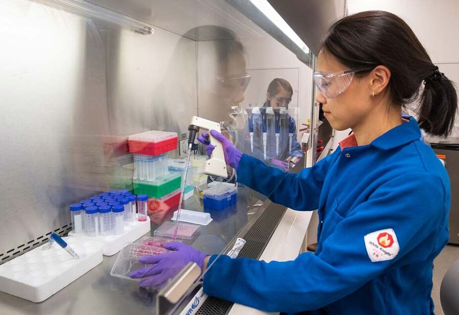 Photo: Postdoctoral scholar Lina Yao at work in the laboratory.