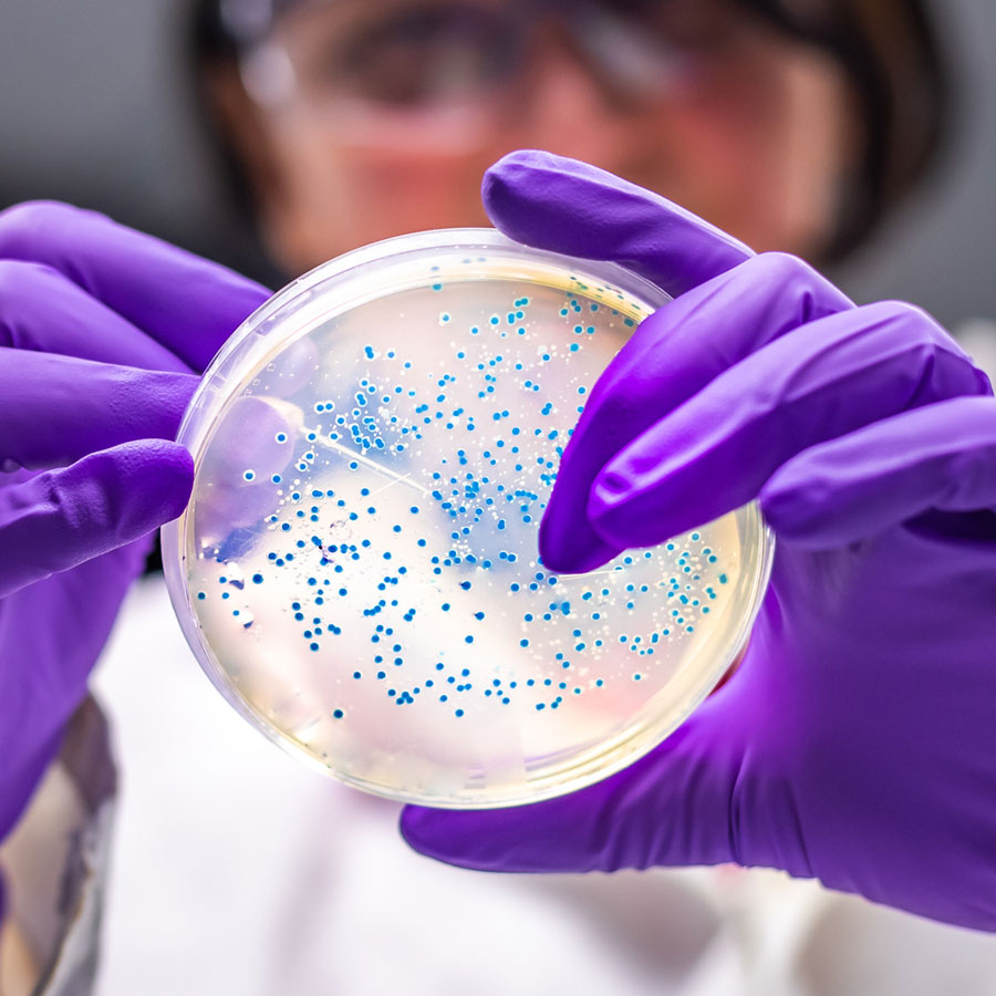 Petri dish held by a researcher